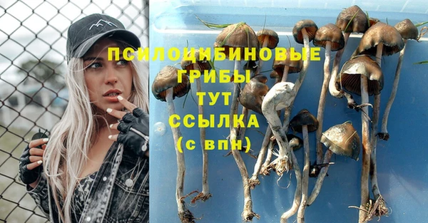 кокаин премиум Горняк