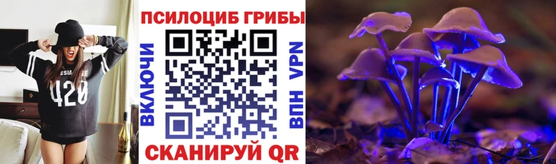 Галлюциногенные грибы Psilocybine cubensis  Далматово 